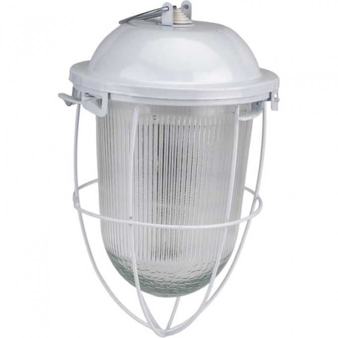 Светильник ЭРА НСП 41-200-003 с решеткой Желудь сталь стекло IP54 E27 max 200Вт 185х345 белый B0052020 Светильник ЭРА НСП 41-200-003 с решеткой Желудь сталь стекло IP54 E27 max 200Вт 185х345 белый B0052020