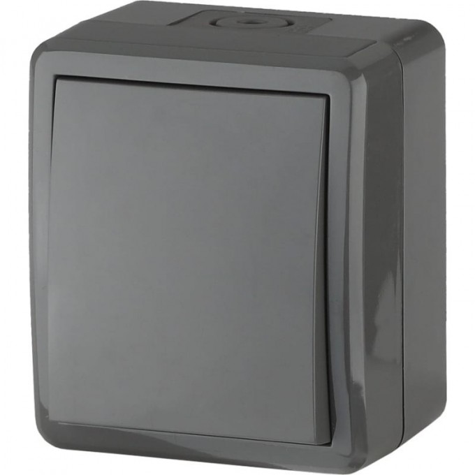 Выключатель ЭРА ЭКСПЕРТ IP54 10АХ-250В ОУ серый B0020670 Выключатель ЭРА ЭКСПЕРТ IP54 10АХ-250В ОУ серый B0020670
